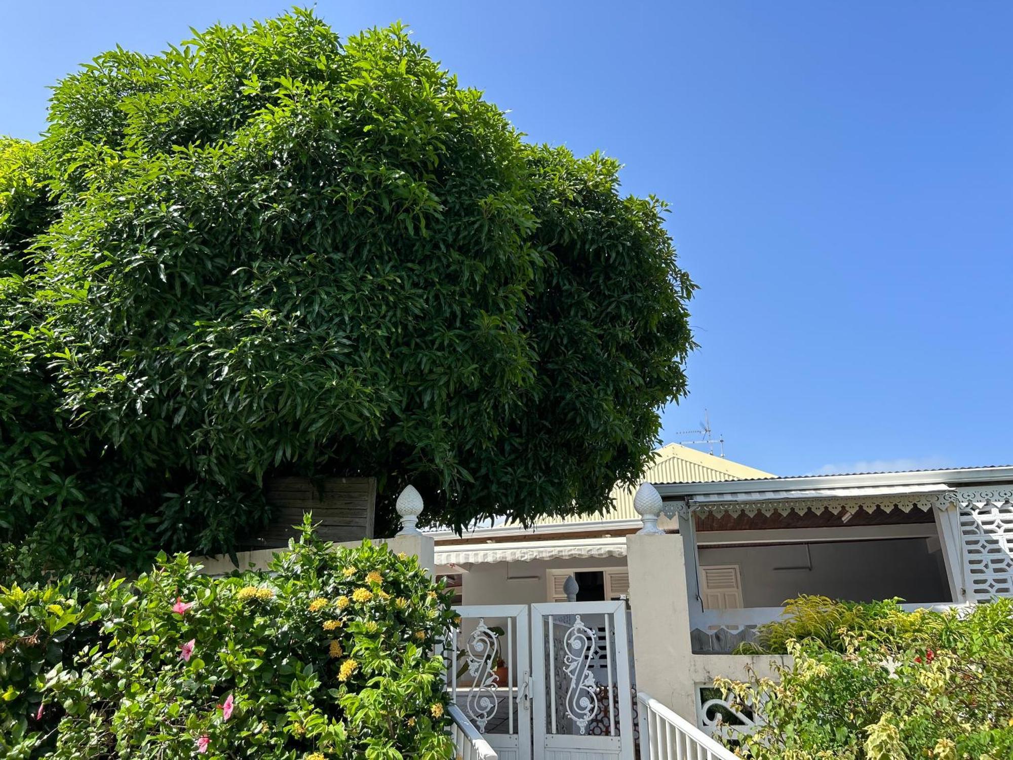 Villa A Louer A Sainte-Anne En Martinique Exteriér fotografie